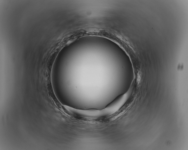 X0000091471445200708161349