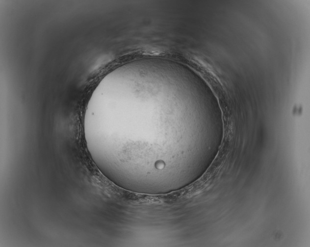 X0000091471446200708161349