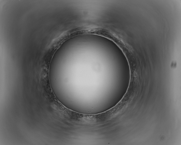 X0000091471447200708161349