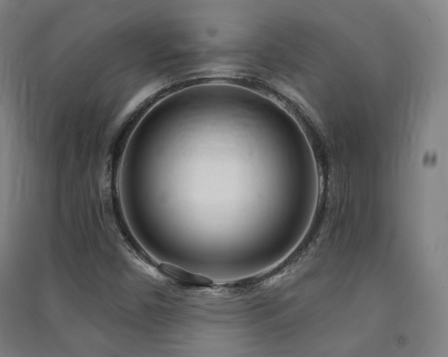X0000091471450200708161349