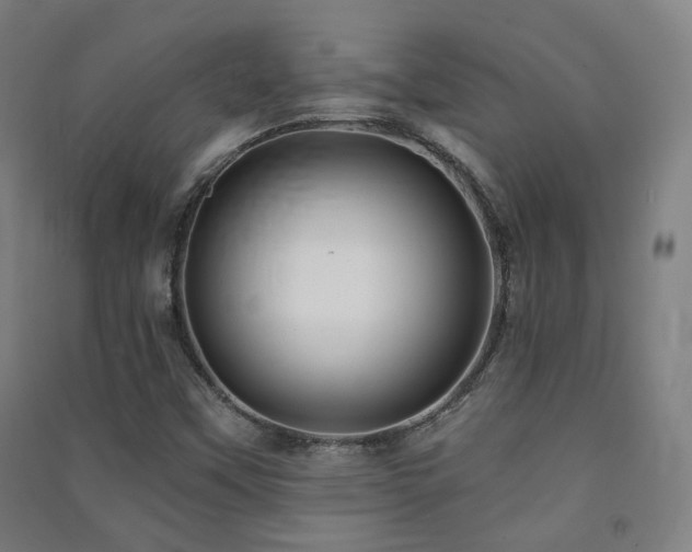 X0000091471451200708161349