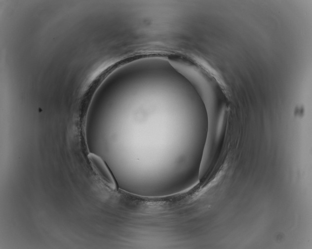 X0000091471453200708161349