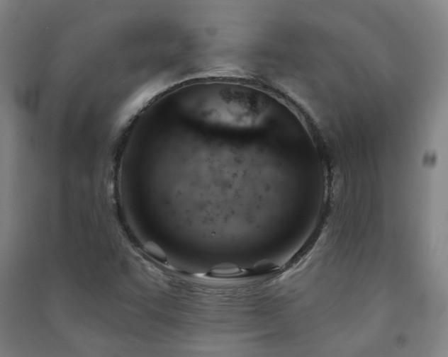 X0000091471455200708161349
