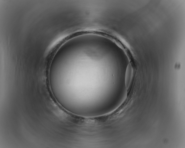 X0000091471456200708161349
