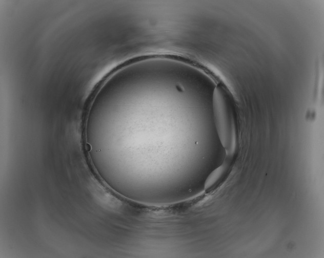 X0000091471460200708161349