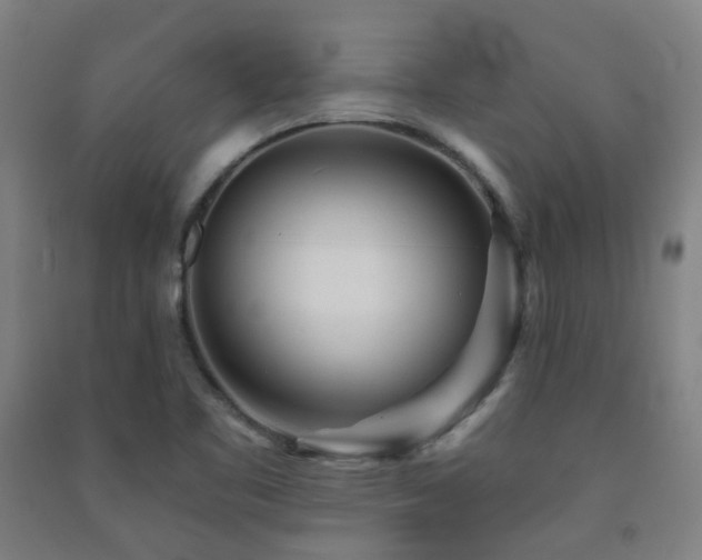 X0000091471461200708161349