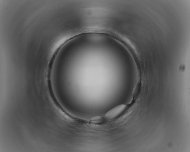 X0000091471463200708161349