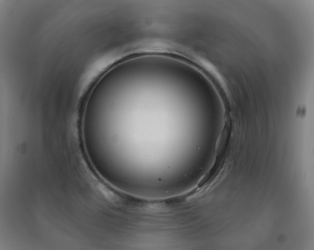 X0000091471464200708161349