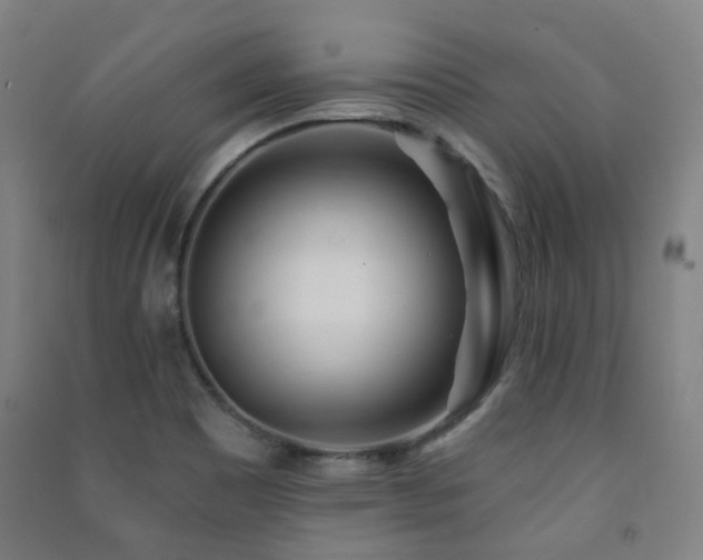 X0000091471465200708161349