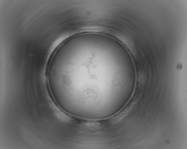 X0000091471466200708161349