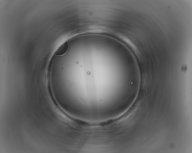 X0000091471467200708161349