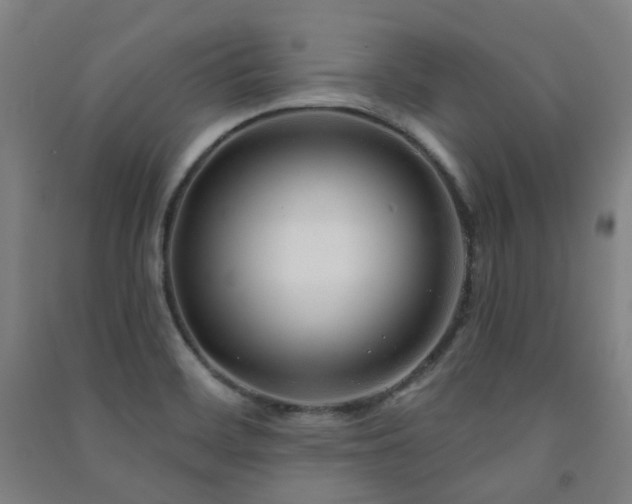 X0000091471468200708161349