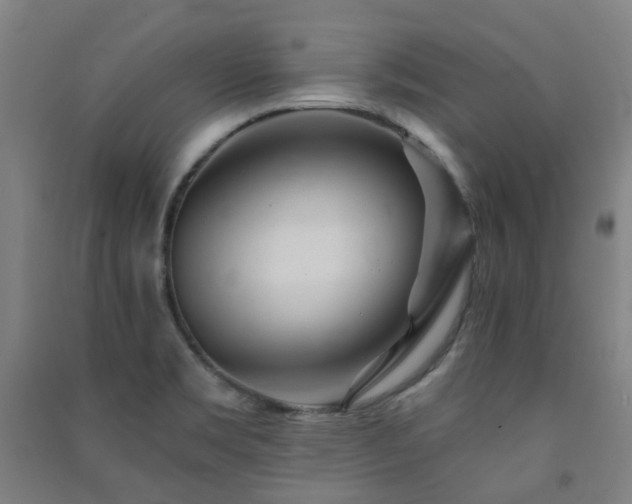 X0000091471469200708161349