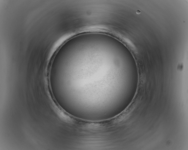 X0000091471470200708161349
