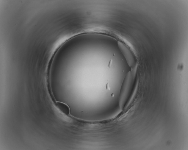 X0000091471471200708161349