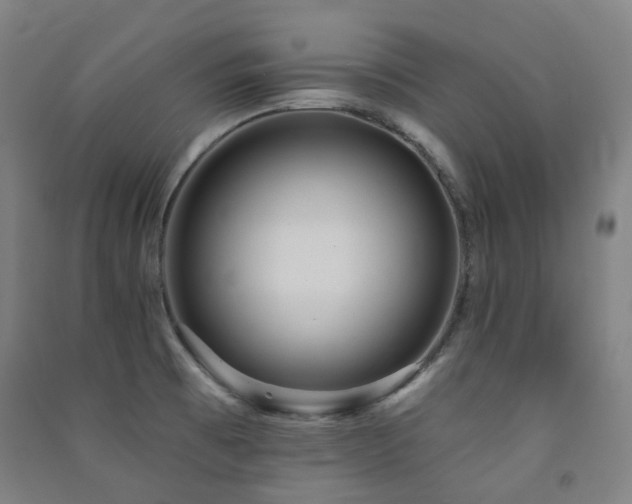 X0000091471473200708161349