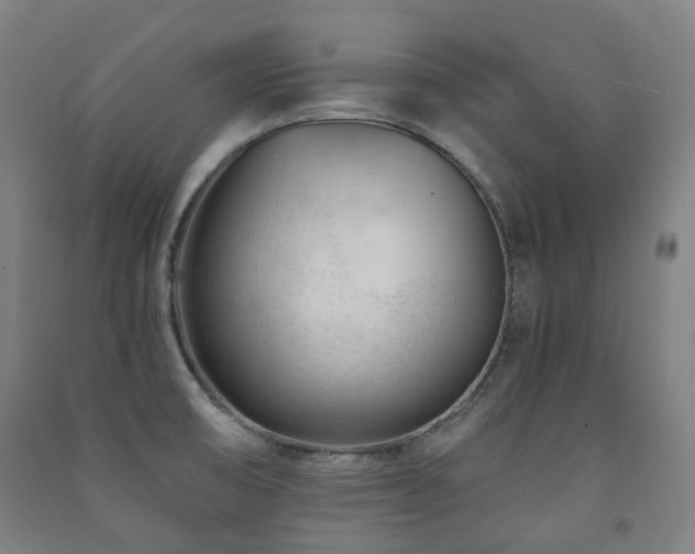 X0000091471474200708161349