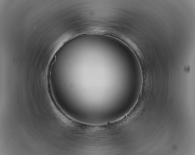 X0000091471475200708161349