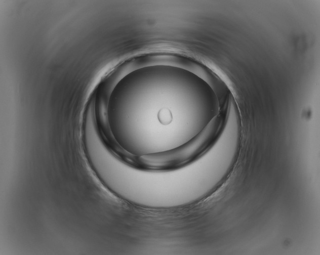 X0000091471477200708161349