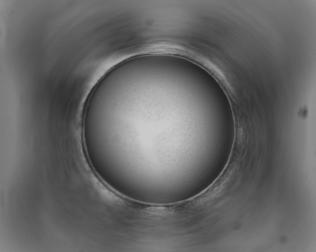 X0000091471478200708161349