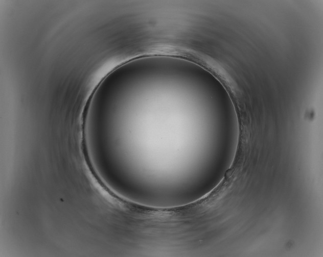 X0000091471479200708161349