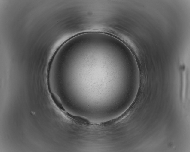 X0000091471480200708161349