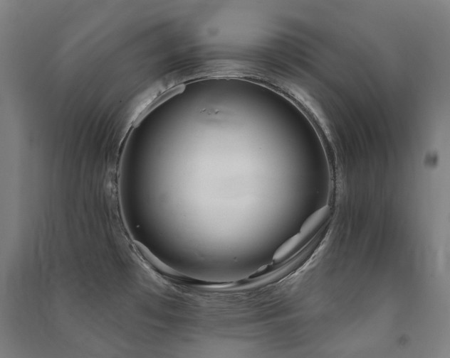 X0000091471481200708161349