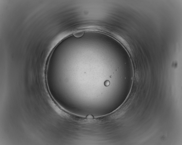 X0000091471482200708161349