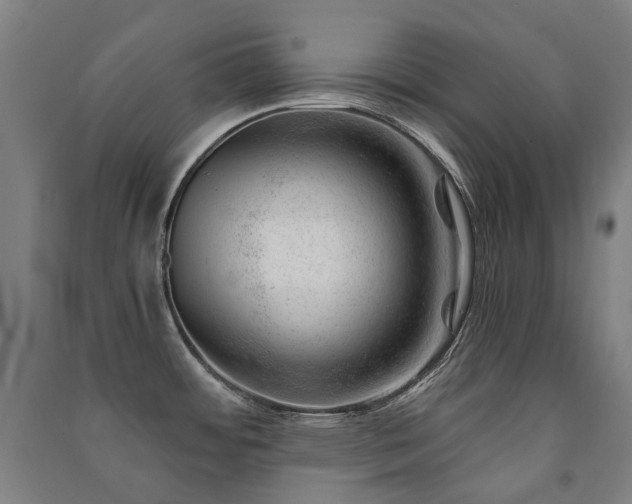 X0000091471484200708161349