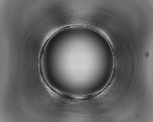 X0000091471485200708161349