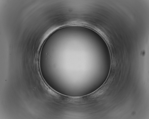 X0000091471486200708161349