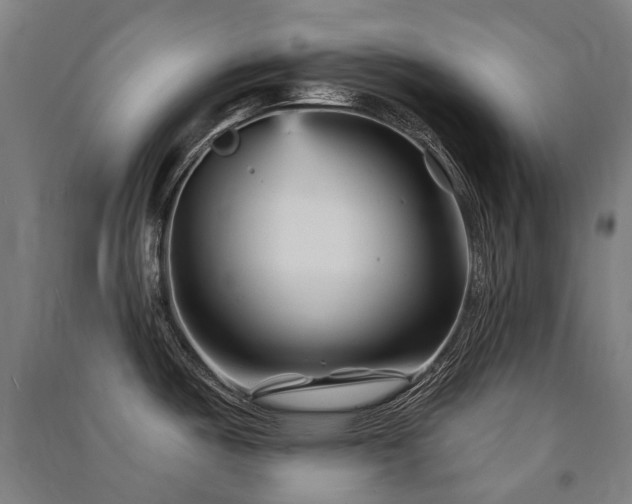 X0000091471487200708161349