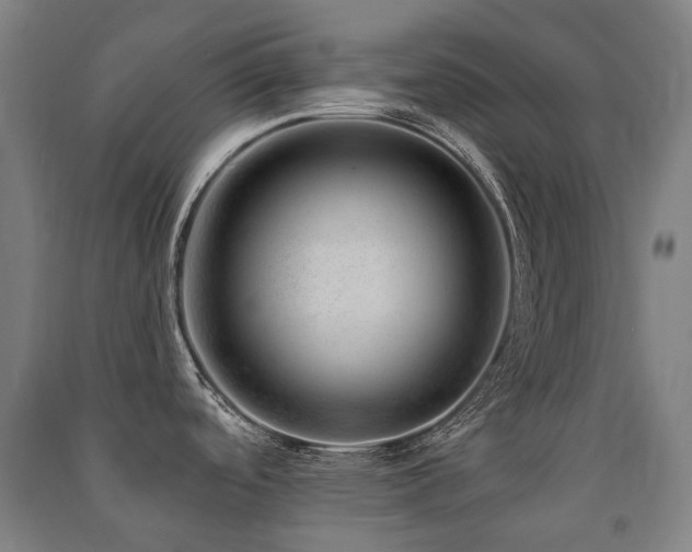 X0000091471488200708161349