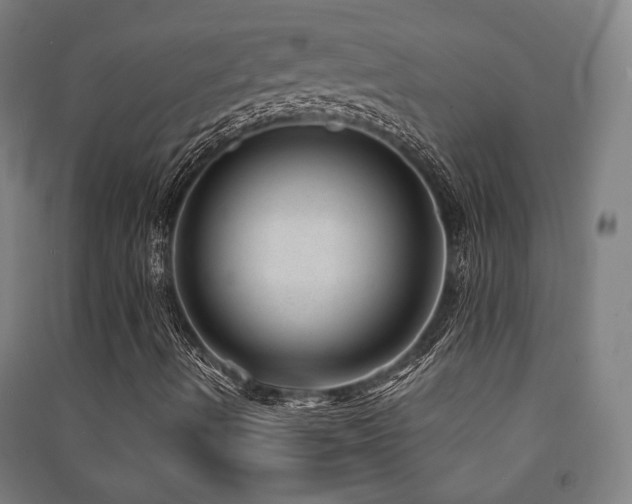 X0000091471490200708161348