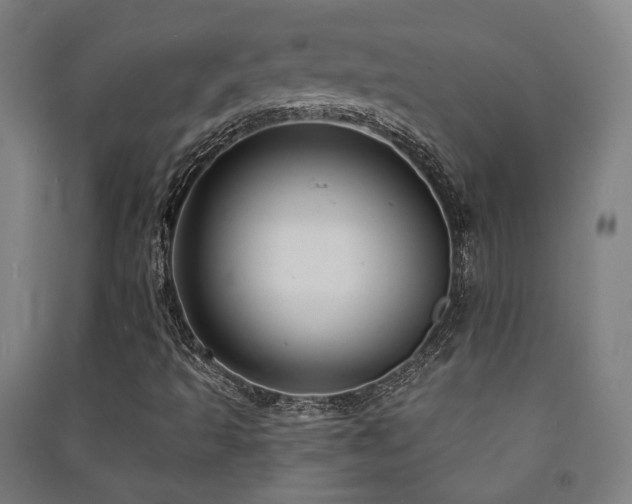 X0000091471493200708161348
