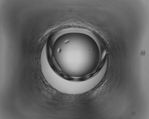 X0000091471494200708161348