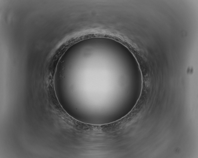 X0000091471495200708161348
