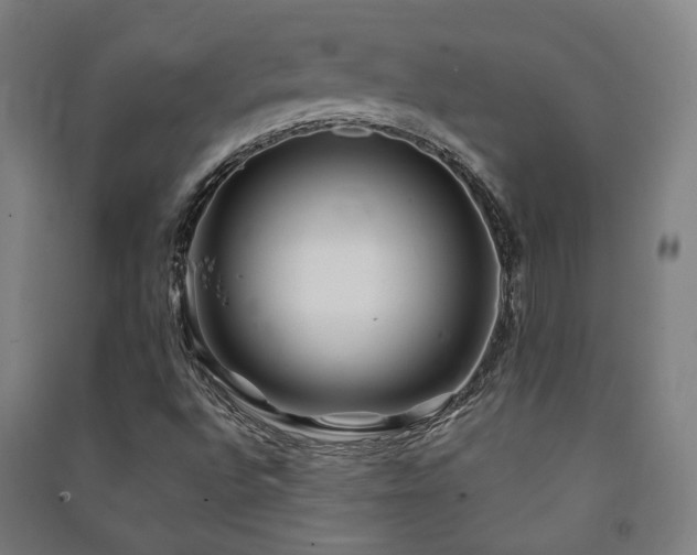 X0000091471496200708161348