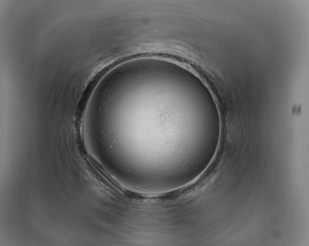 X0000091471497200708161348