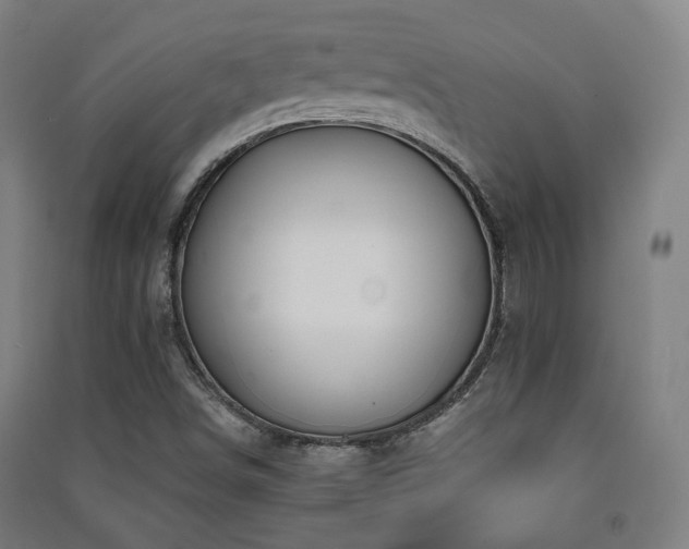 X0000091471498200708161348