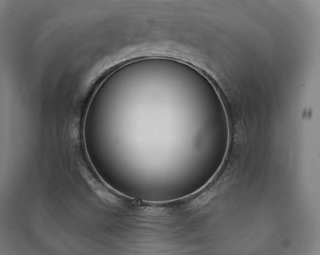 X0000091471499200708161348