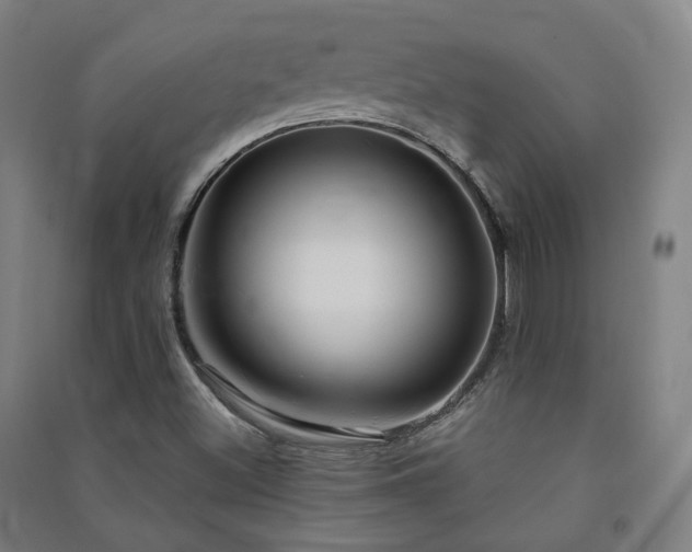 X0000091471500200708161348