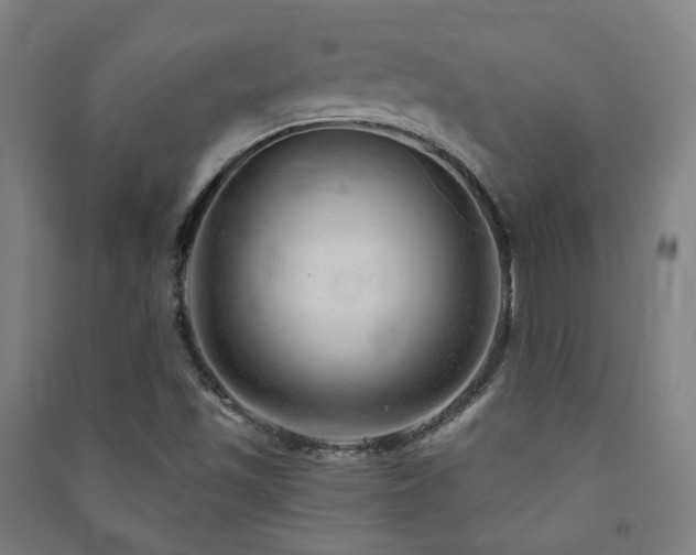 X0000091471501200708161348