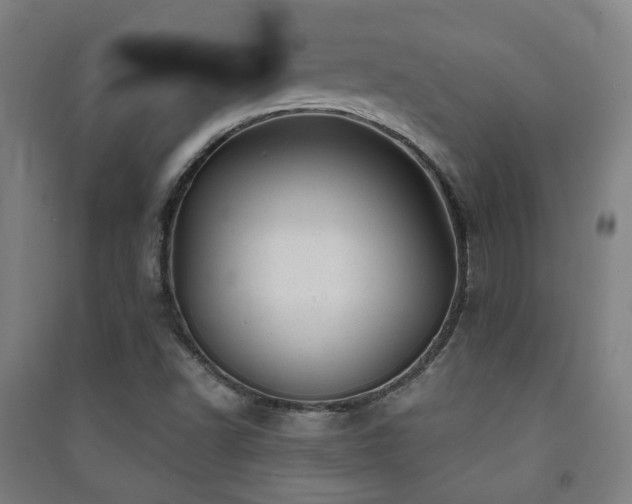X0000091471502200708161348