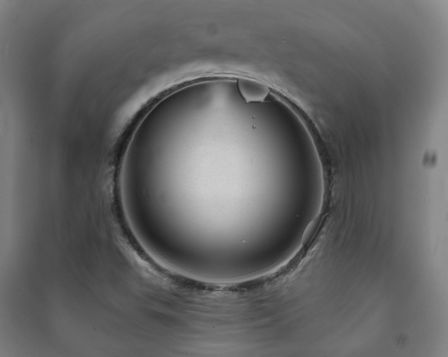 X0000091471503200708161348