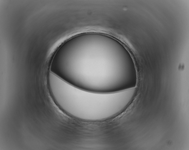 X0000091471504200708161348