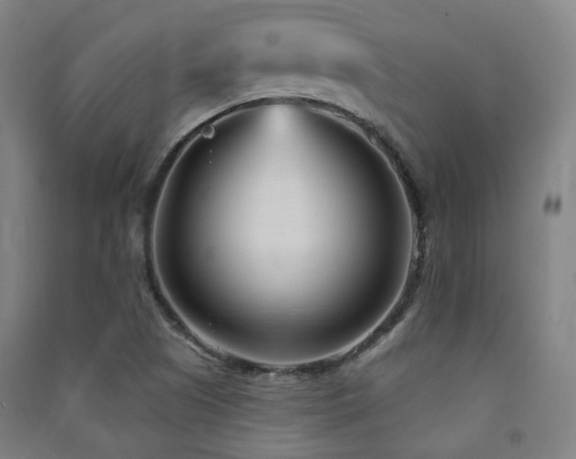X0000091471505200708161348