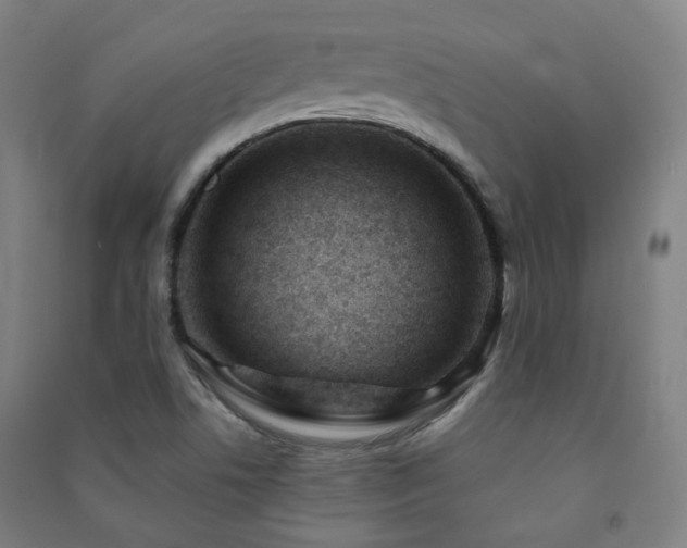 X0000091471506200708161348