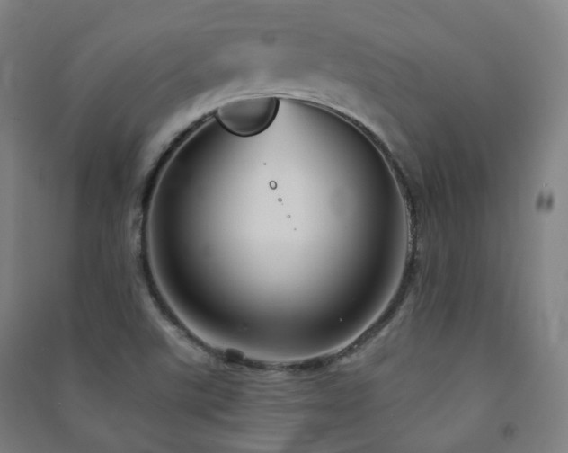 X0000091471507200708161348