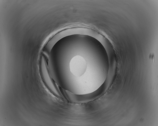 X0000091471508200708161348